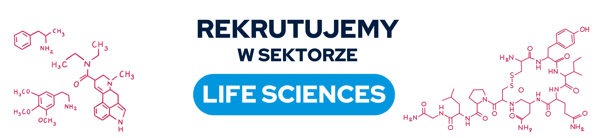 baner rekrutujemy